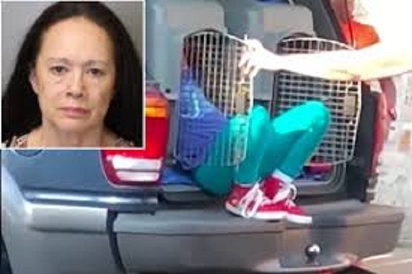 Woman puts children in cages