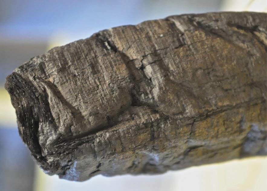 Secrets in 2,000-Year-Old Scorched Scrolls of Herculaneum