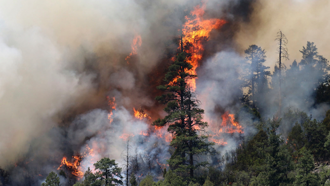 durango colorado forest fire june 2018