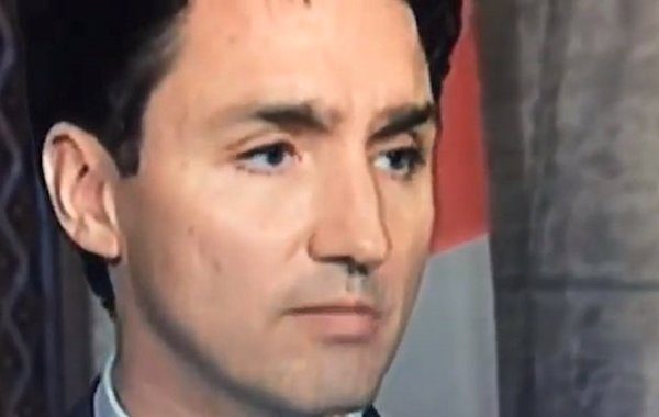 justin trudeau eyebrow