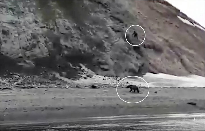 Sergey, 31, got so nervous that he started to throw stones at the bear, trying to scare the animal away