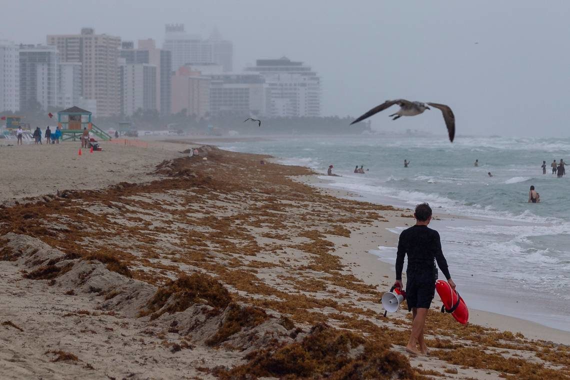 hurricane Alberto