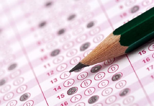 human iq test