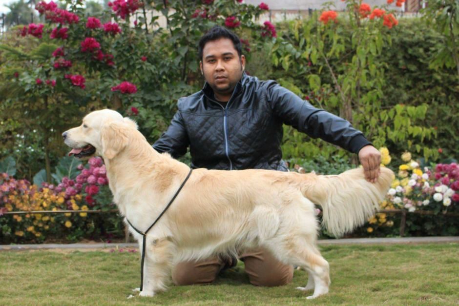Click to enlarge Abhijeet Nath