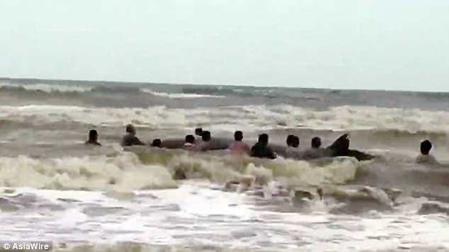 A group of volunteers spend hours pushing the massive Bryde's whale out to the sea
