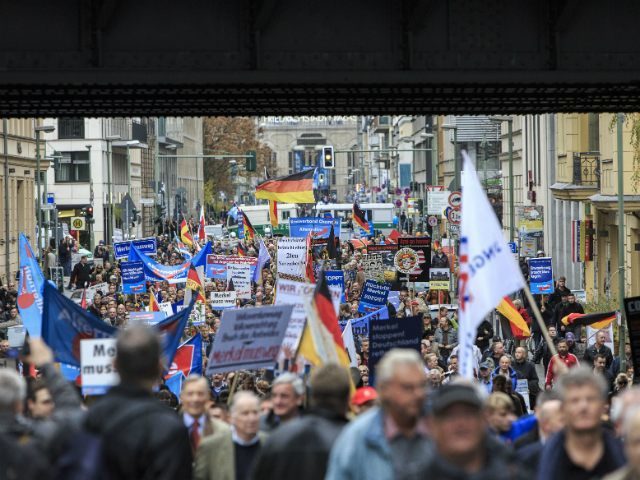 Click to enlarge germany protest afd 2015