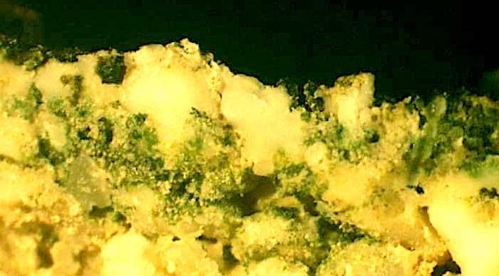 New Photosynthesis