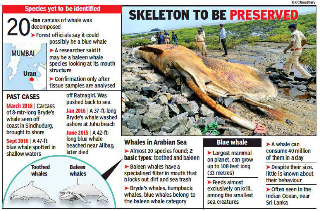 Click to enlarge picture