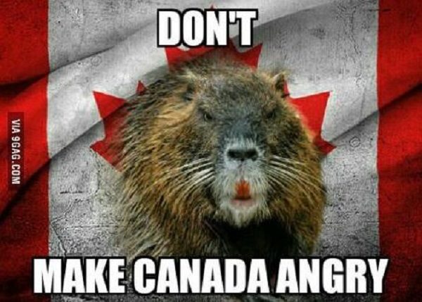 angry canadian
