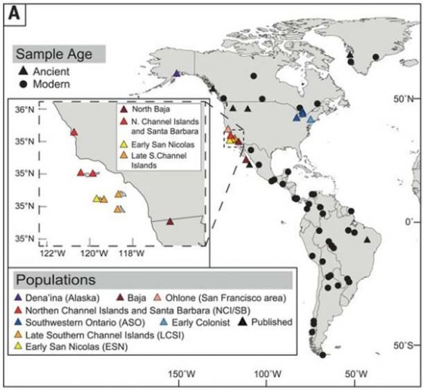 ancient north american populations