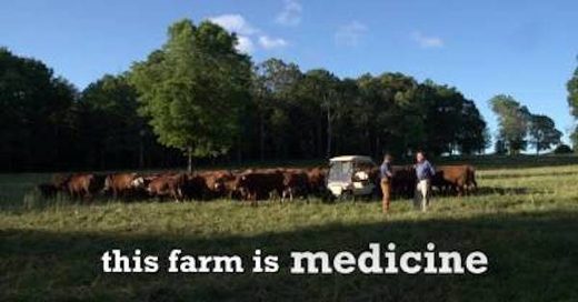 farm