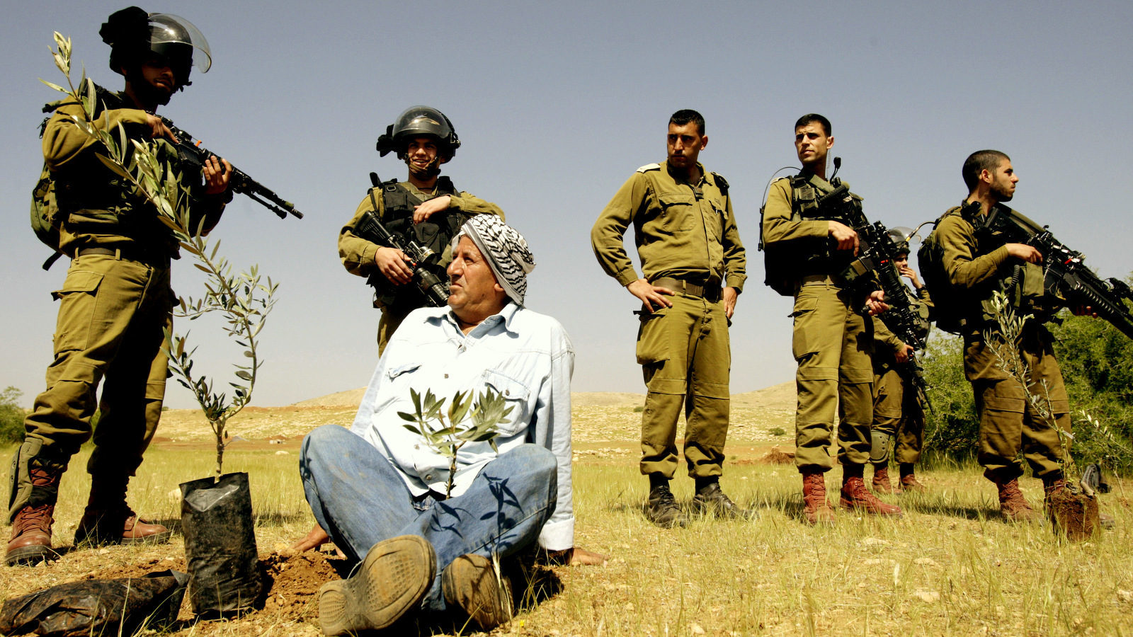 IDF palestinian farmer