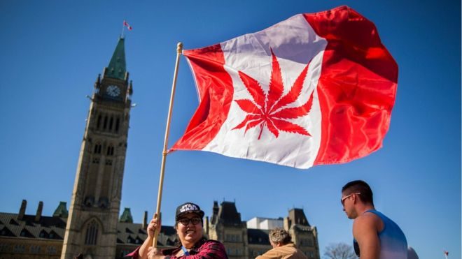 Click to enlarge cannabis canada