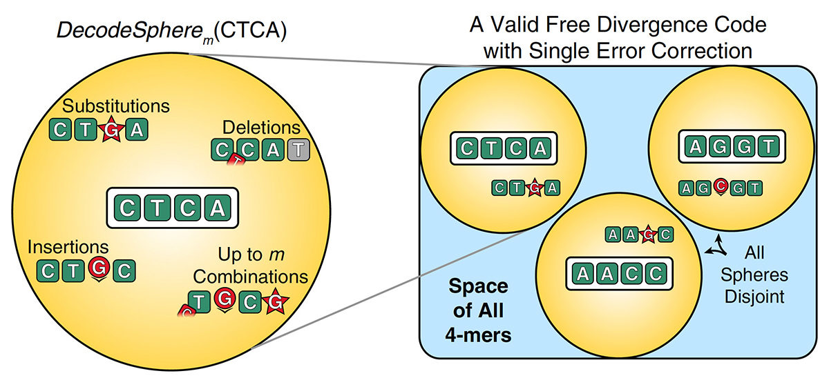Click to enlarge DNA Barcodes