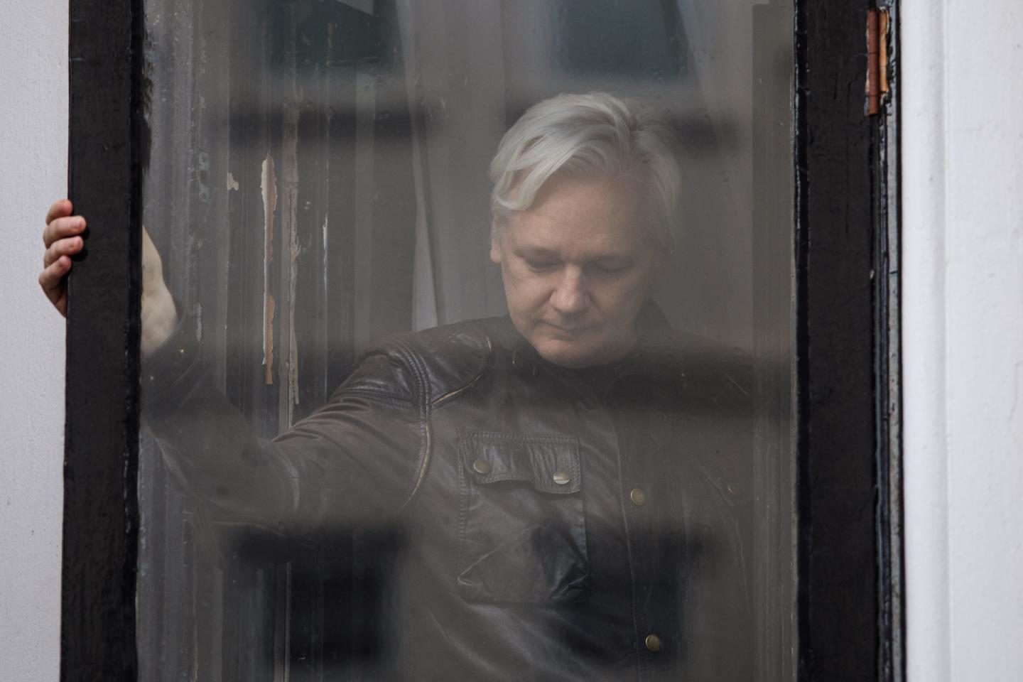 Click to enlarge Julian Assange