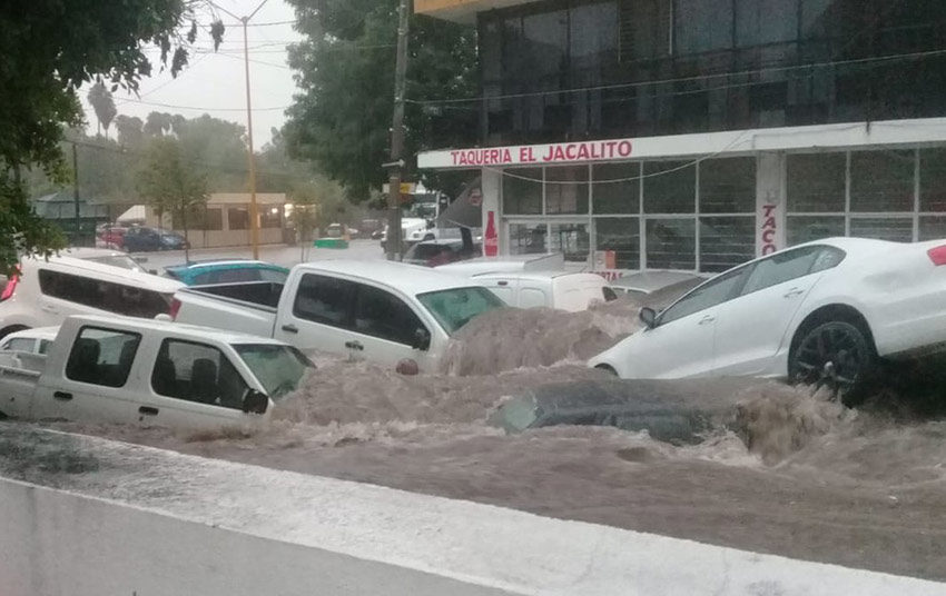 Flooding sweeps vehicles away