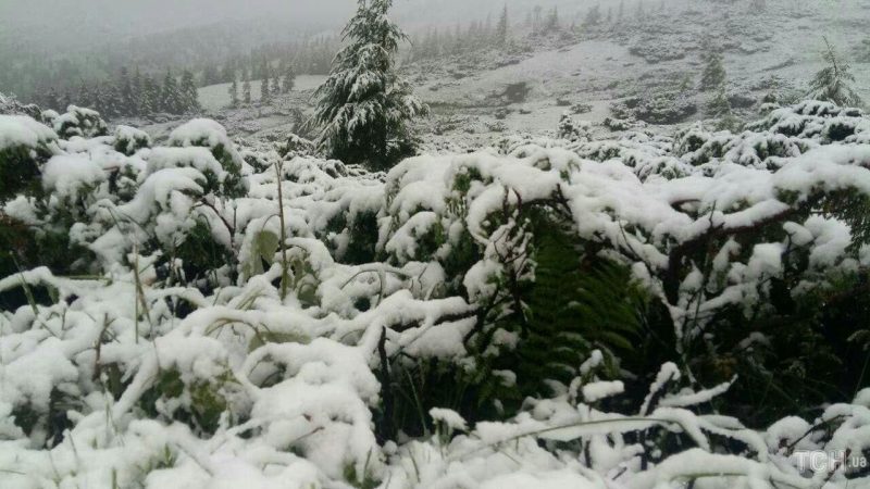 snow