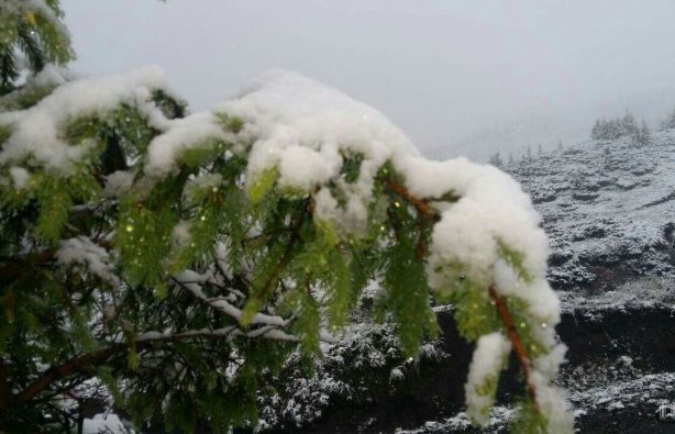 snow