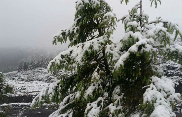 snow