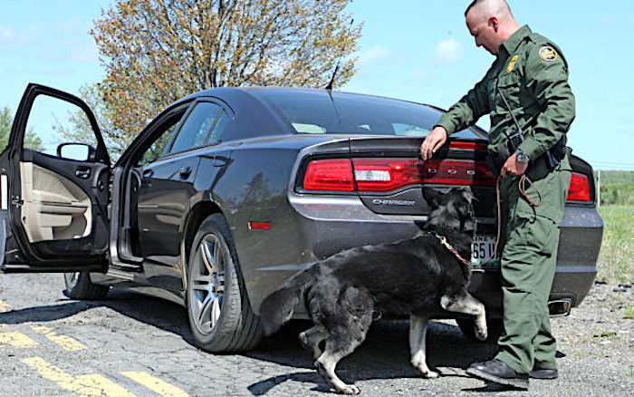 Border patrol and dog