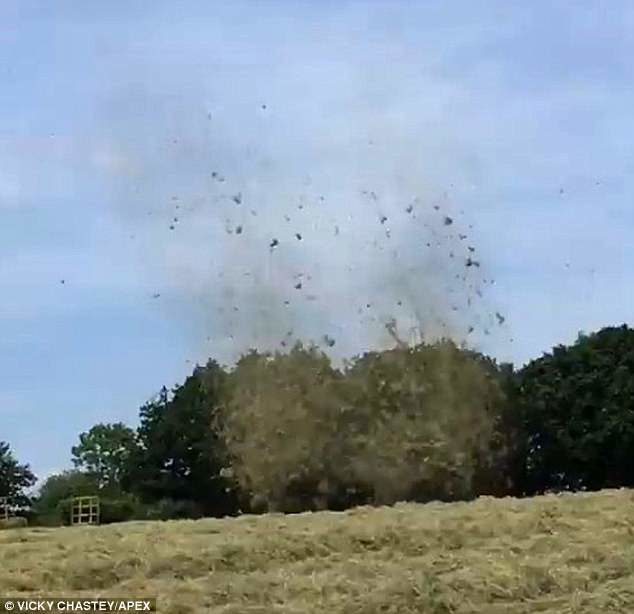 Click to enlarge Vicky Chastey filmed this dust devil in a field at Sticklepath in Dartmoor, Devon, on Saturday afternoon