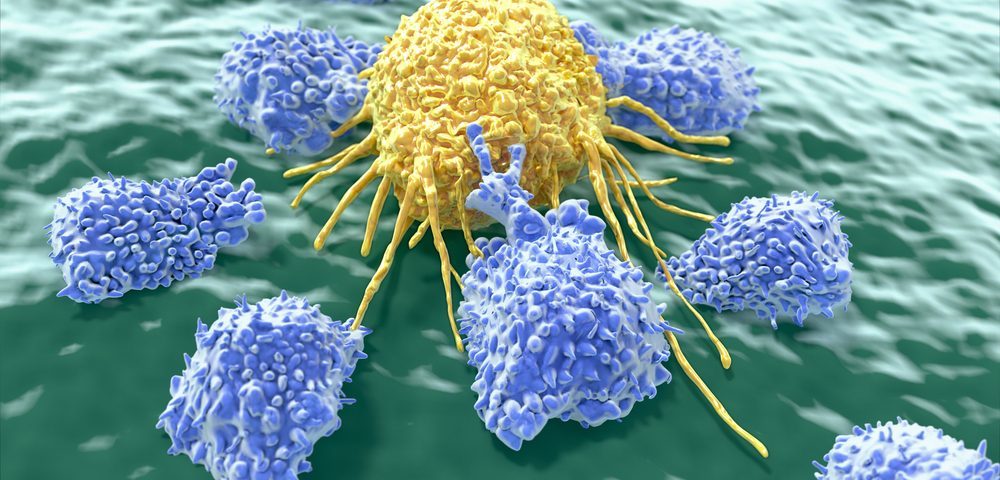 Click to enlarge natural killer NK cells