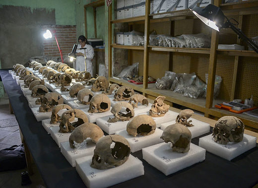 Click to enlarge skulls
