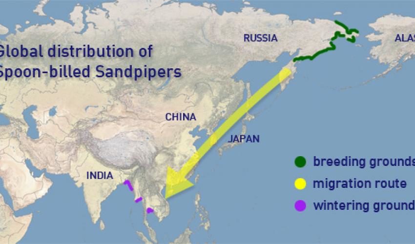 MAP WADER