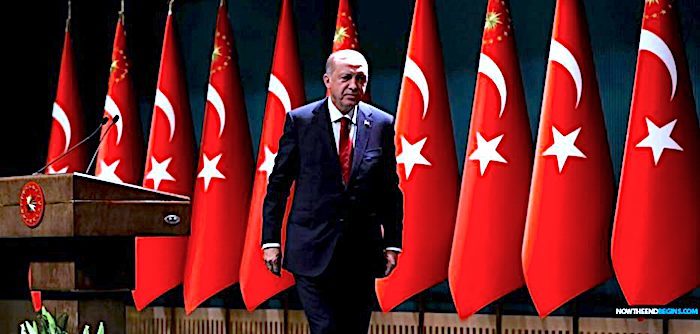 Erdogan, flags