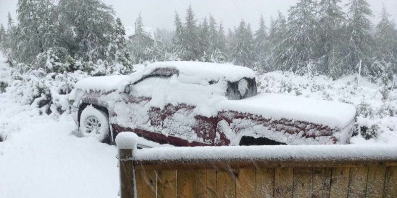 June snow near Burgeo