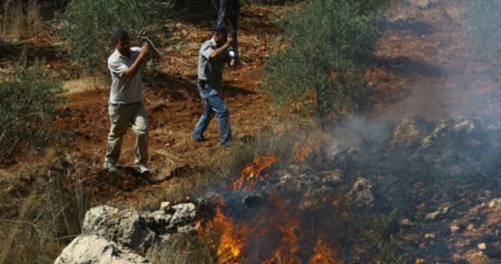 nablus jewish settlers