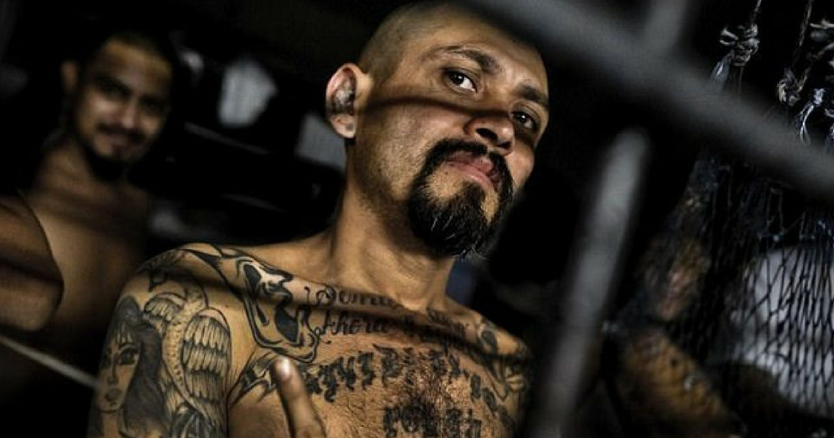 MS-13 gang members