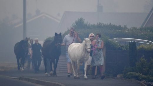 People living in Carrbrook moved animals amid the dense smoke
