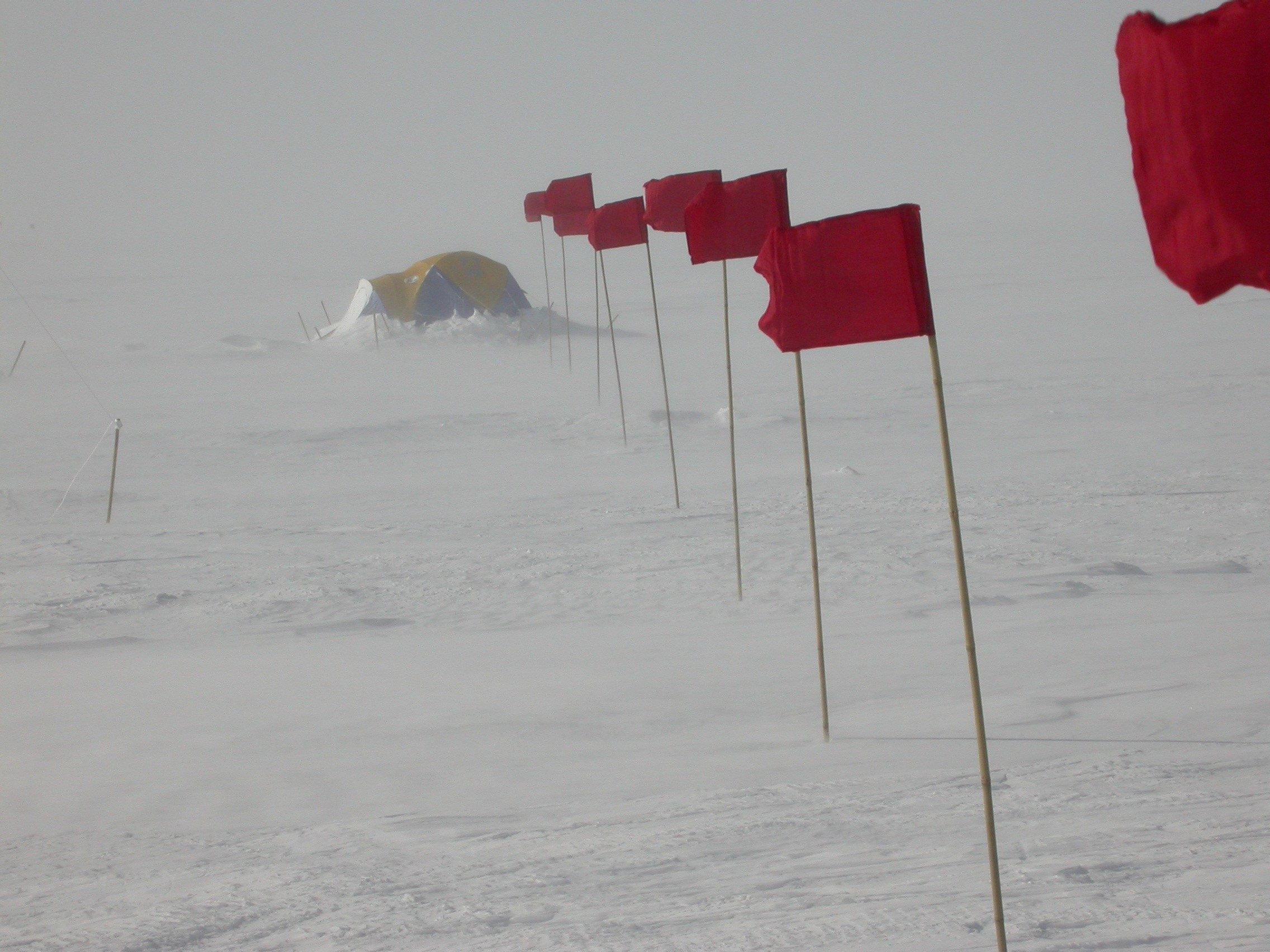 antarctica