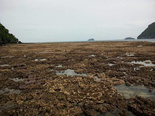 Disappearing water in the Gulf of Thailand