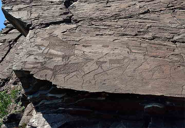 Click to enlarge petroglyph