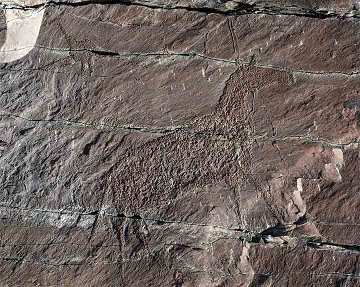 Click to enlarge petroglyph
