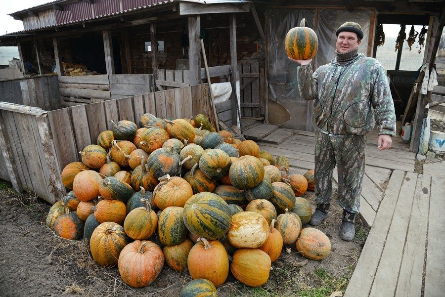 russia land 4