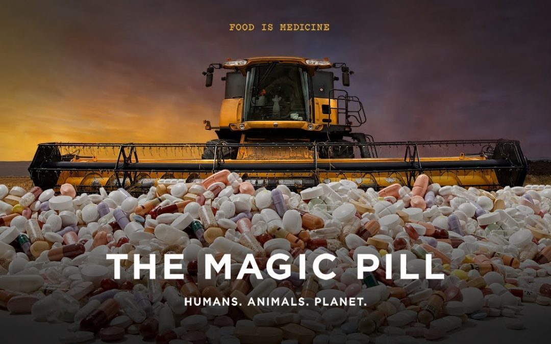 the magic pill