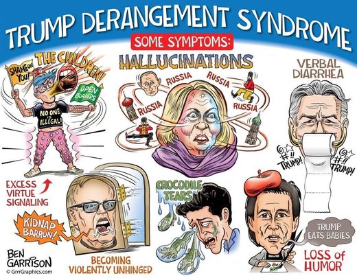 Click to enlarge Trump Derangement Syndrome