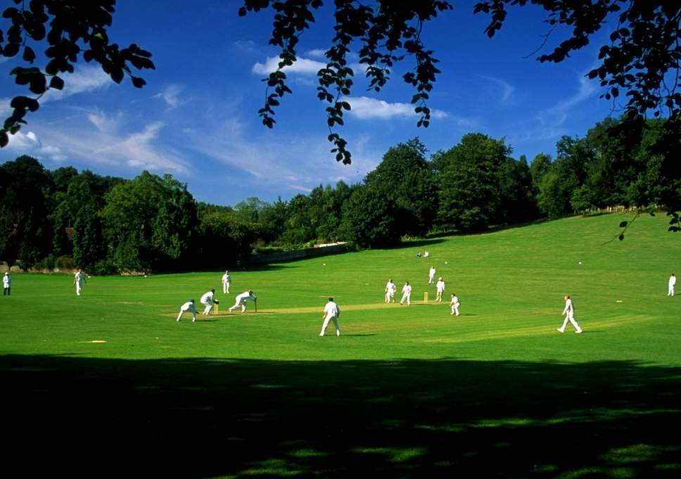 surrey cricket