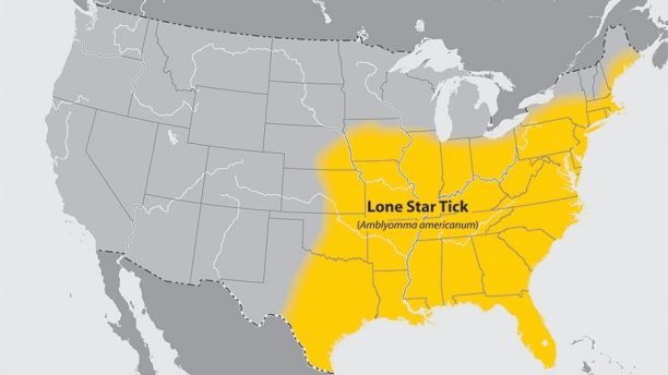 map lone star tick