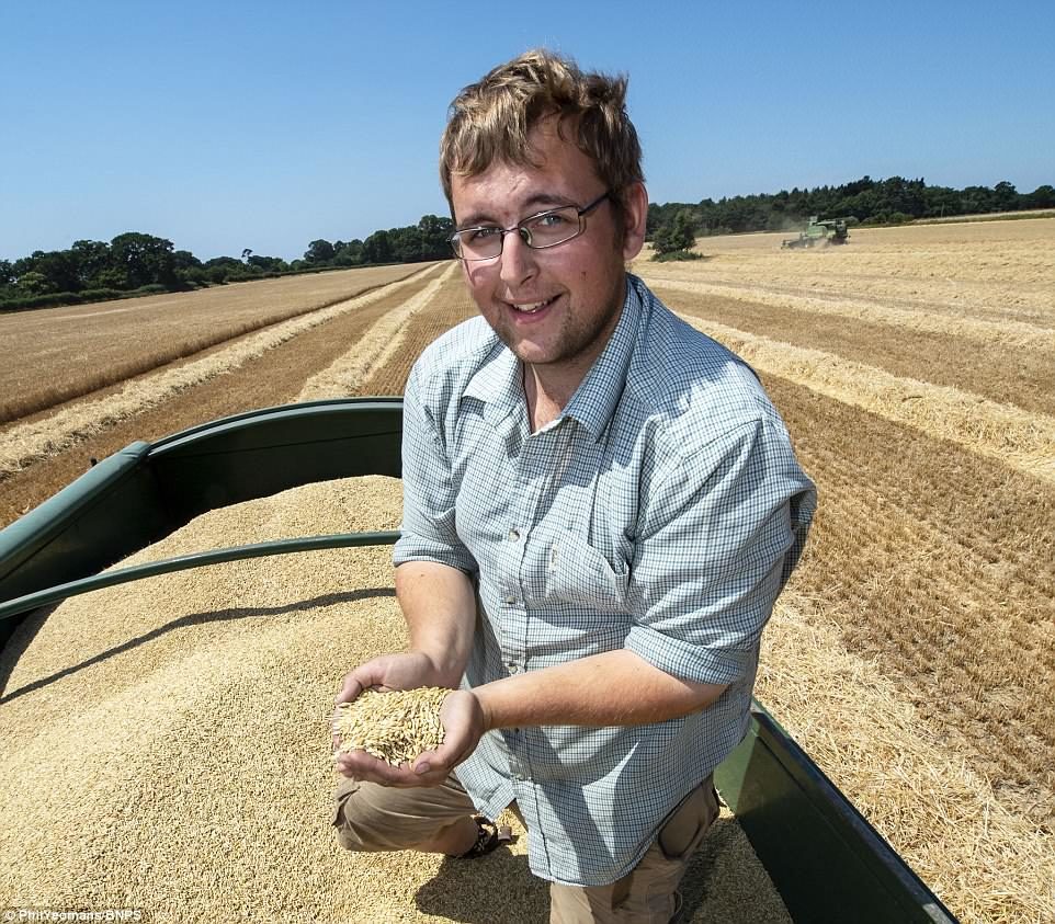 Click to enlarge uk harvest early June 28 2018