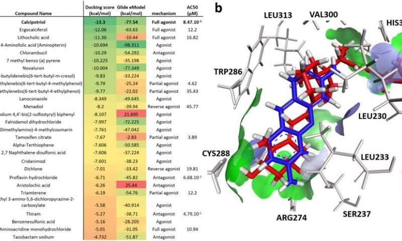 Click to enlarge vitamin d receptor