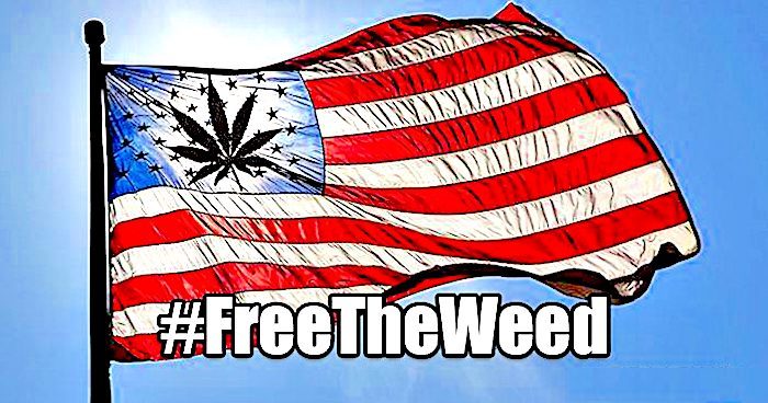 Click to enlarge Freetheweed