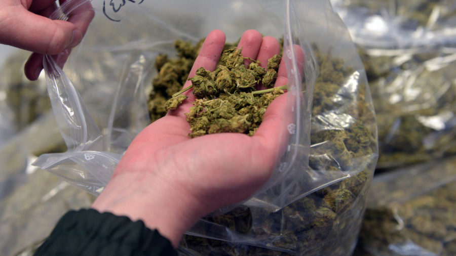 cannabis