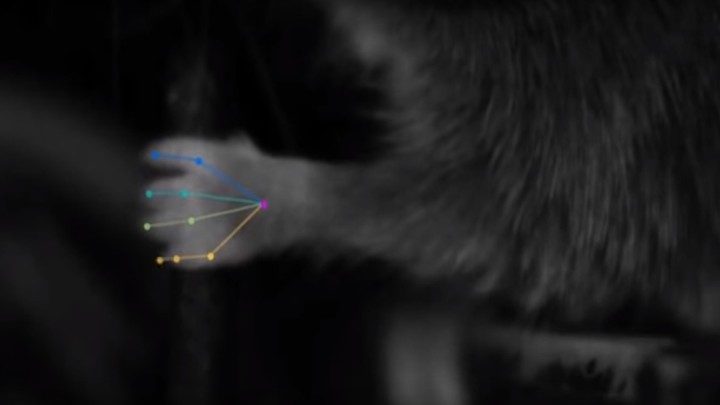 AI movement tracking