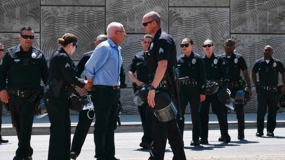LAPD arrest