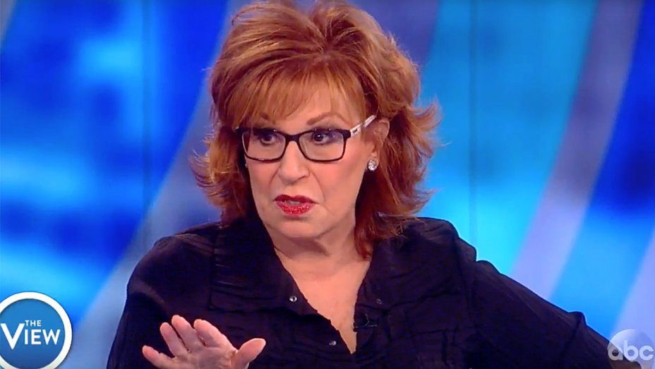joy Behar 'The View