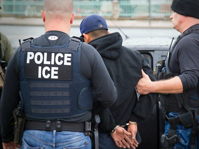 Click to enlarge ice agent arrest